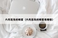 六月出生的明星（六月出生的明星有哪些）