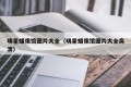 明星蜡像馆图片大全（明星蜡像馆图片大全高清）