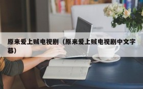 原来爱上贼电视剧（原来爱上贼电视剧中文字幕）